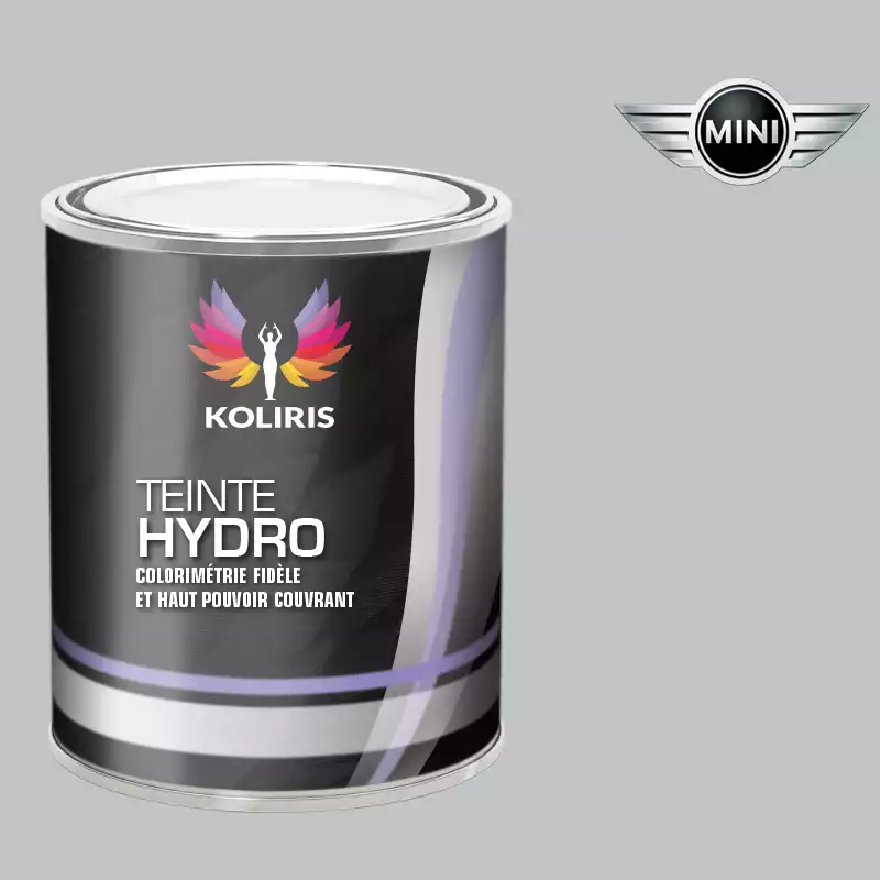 Peinture voiture hydro Mini