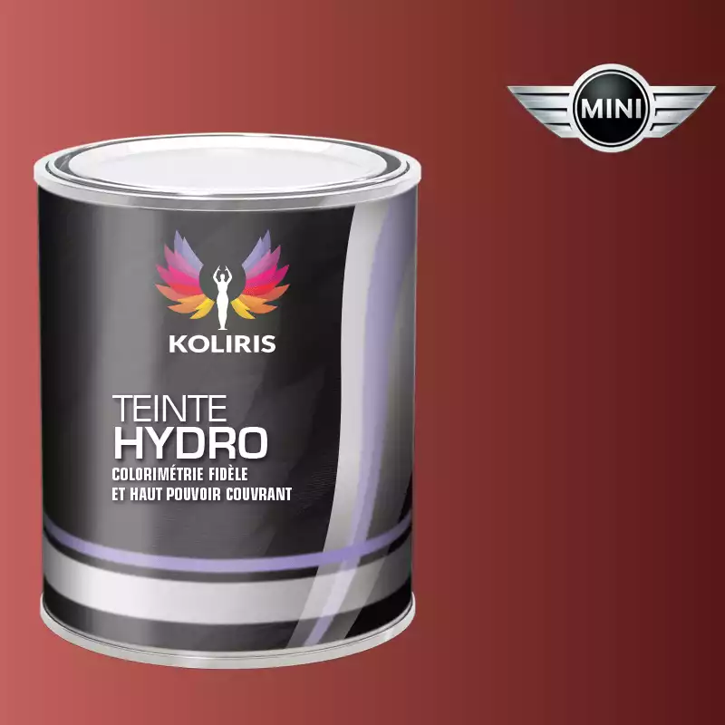 Peinture voiture hydro Mini