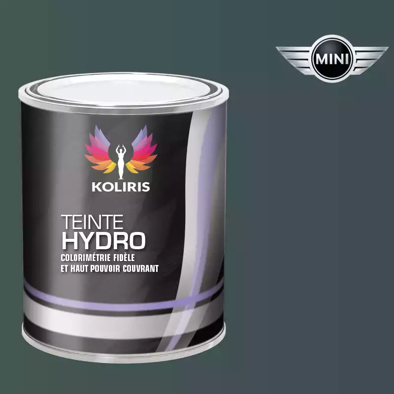 Peinture voiture hydro Mini