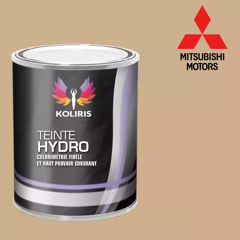 Peinture voiture hydro Mitsubishi