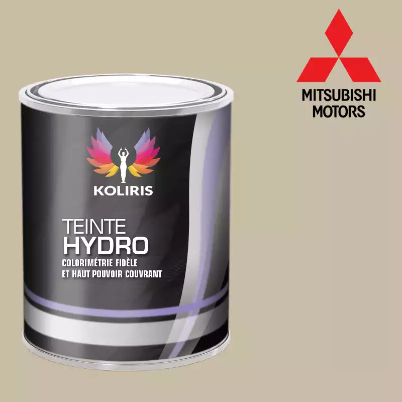 Peinture voiture hydro Mitsubishi