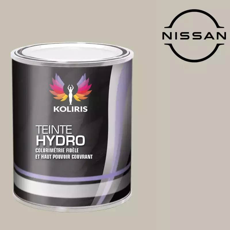 Peinture voiture hydro Nissan