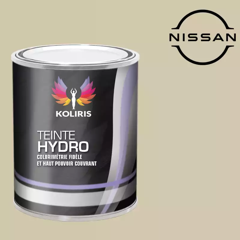 Peinture voiture hydro Nissan