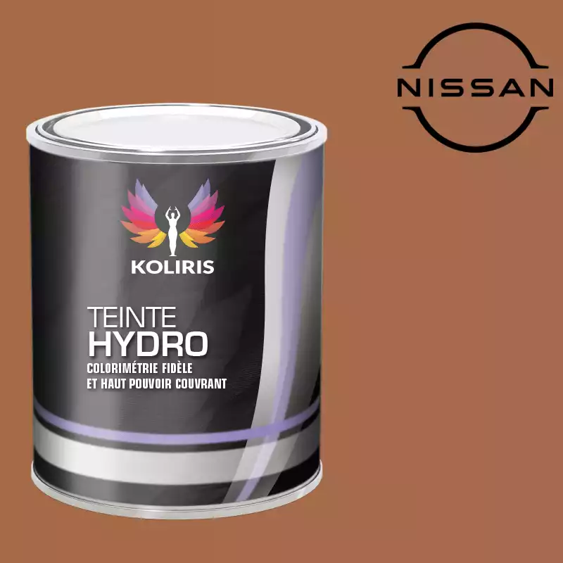 Peinture voiture hydro Nissan