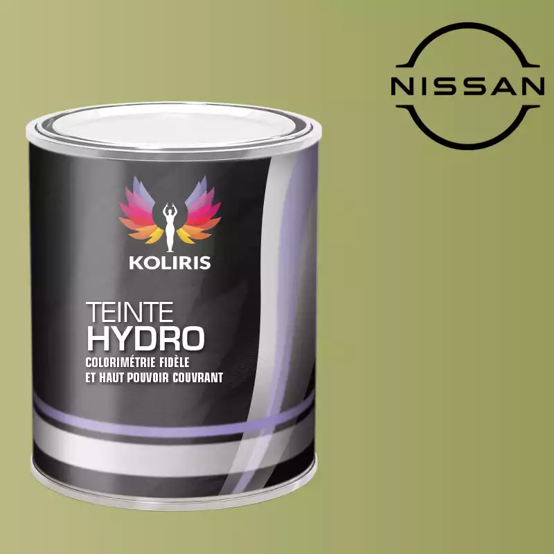 Peinture voiture hydro Nissan