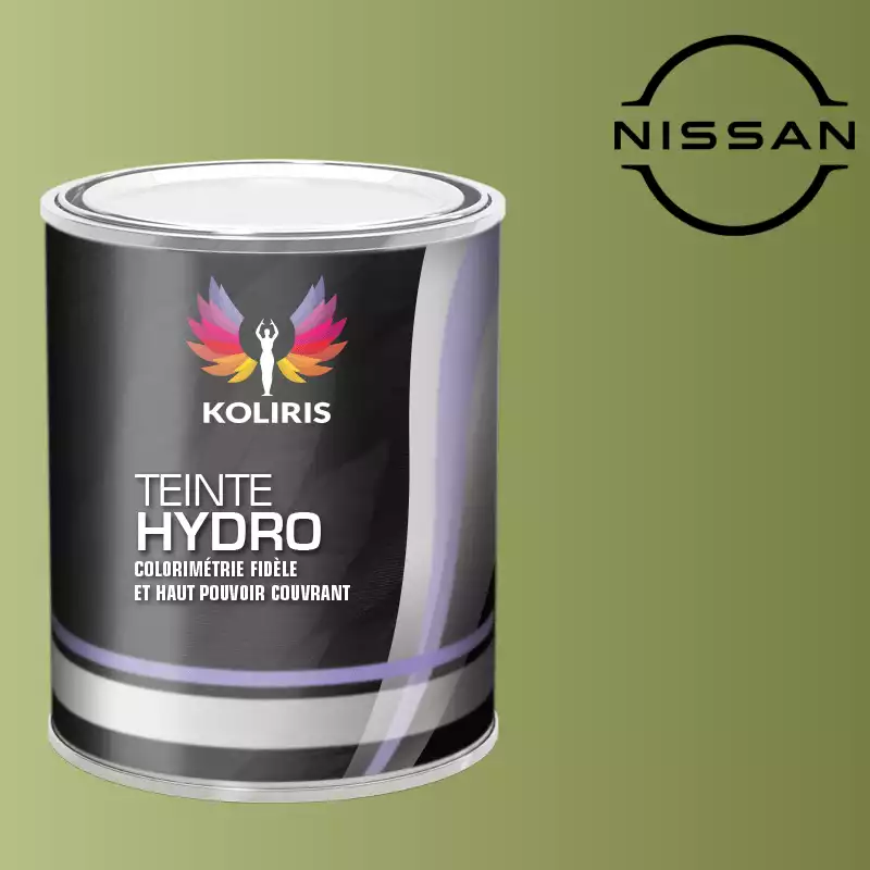 Peinture voiture hydro Nissan