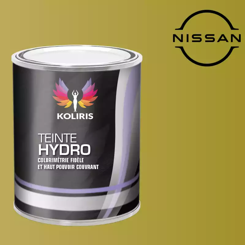 Peinture voiture hydro Nissan