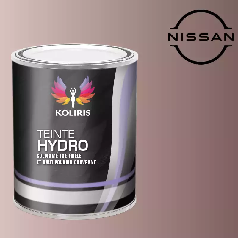 Peinture voiture hydro Nissan