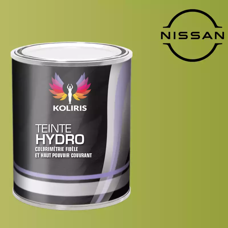 Peinture voiture hydro Nissan