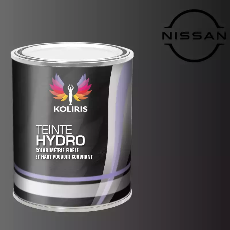 Peinture voiture hydro Nissan