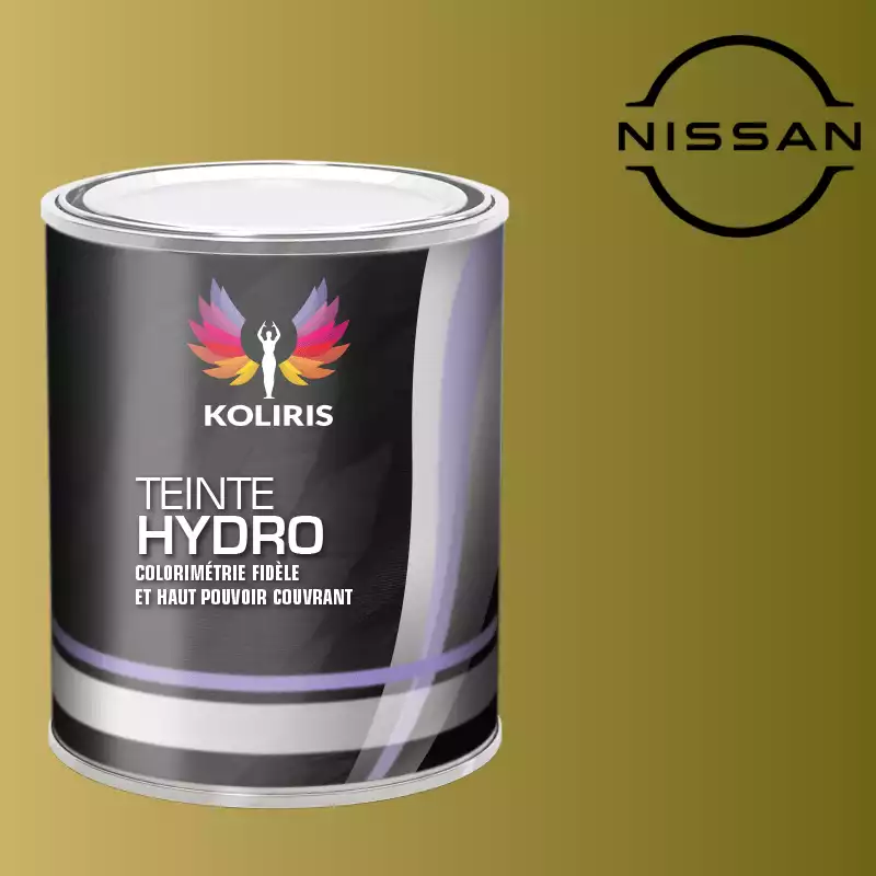 Peinture voiture hydro Nissan