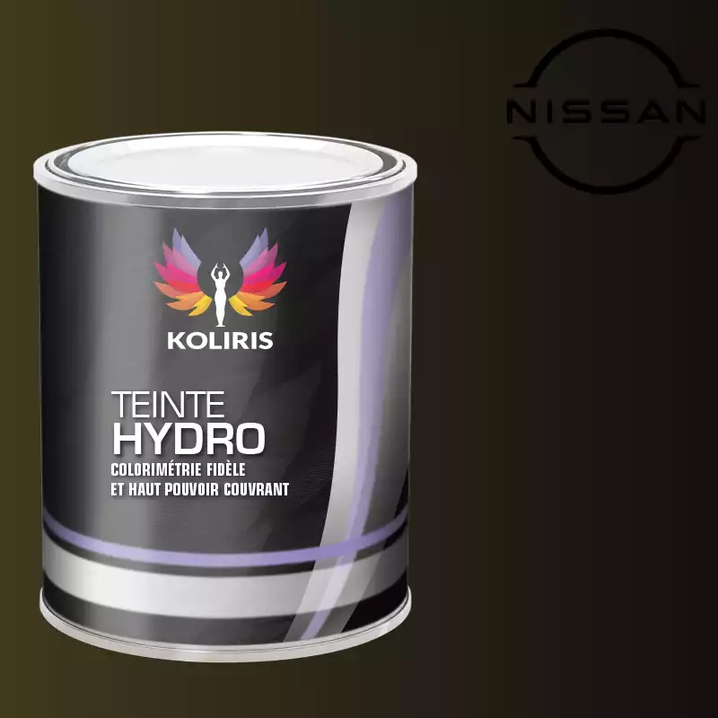 Peinture voiture hydro Nissan