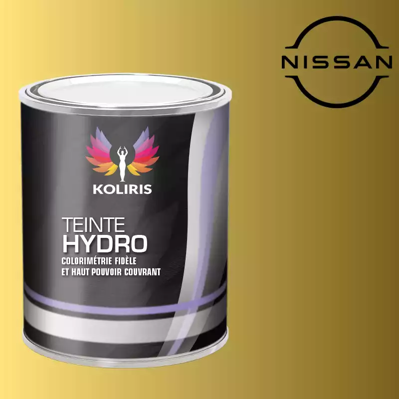 Peinture voiture hydro Nissan