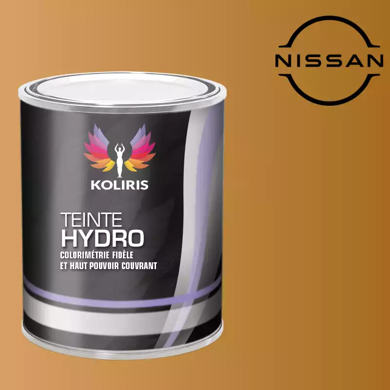 Peinture voiture hydro Nissan