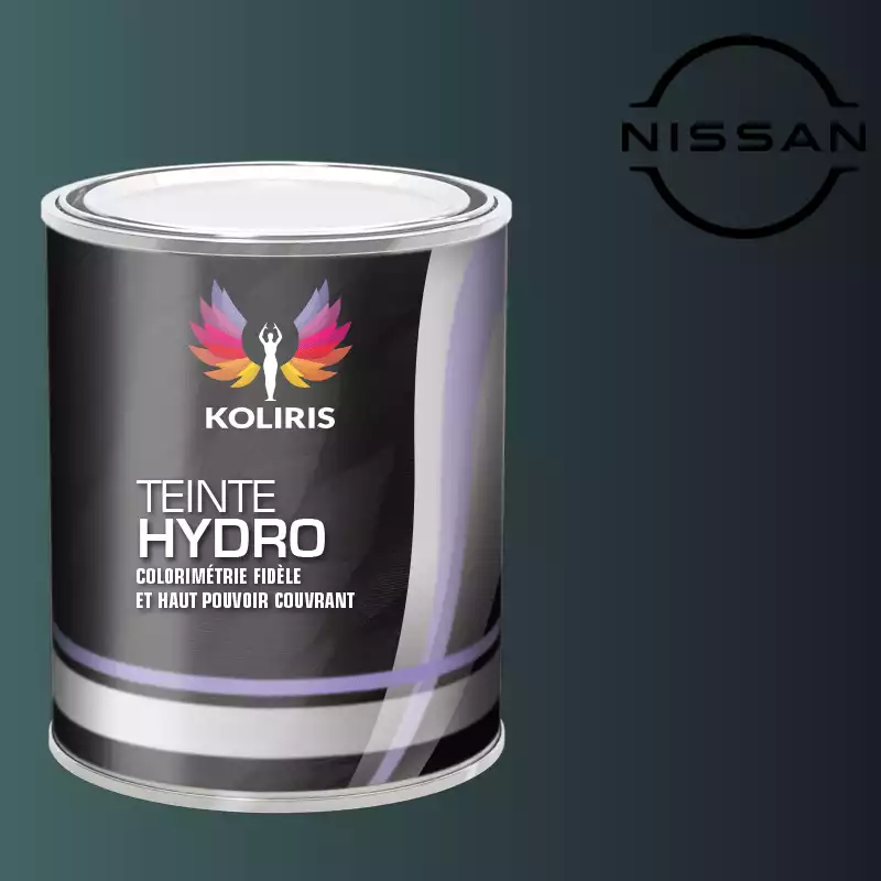 Peinture voiture hydro Nissan