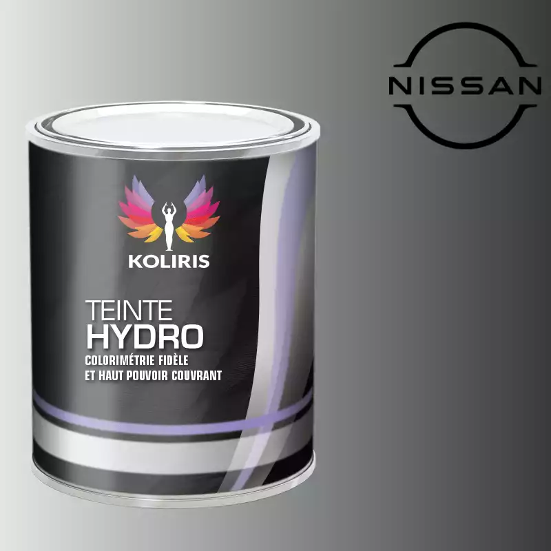 Peinture voiture hydro Nissan