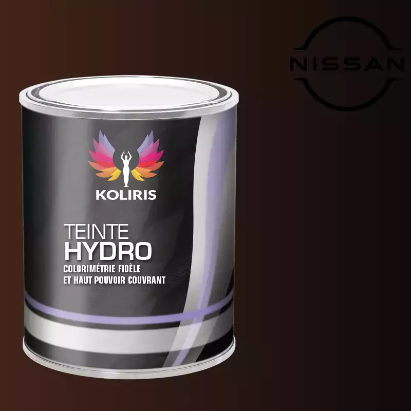 Peinture voiture hydro Nissan