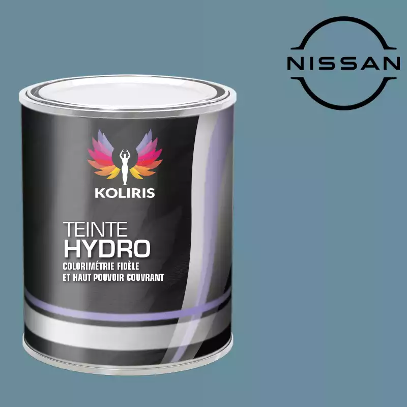 Peinture voiture hydro Nissan