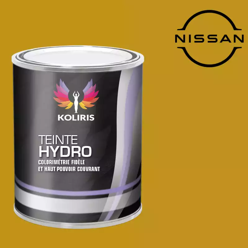 Peinture voiture hydro Nissan