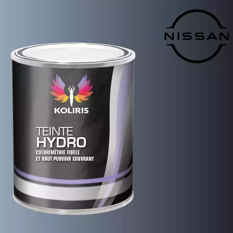 Peinture voiture hydro Nissan