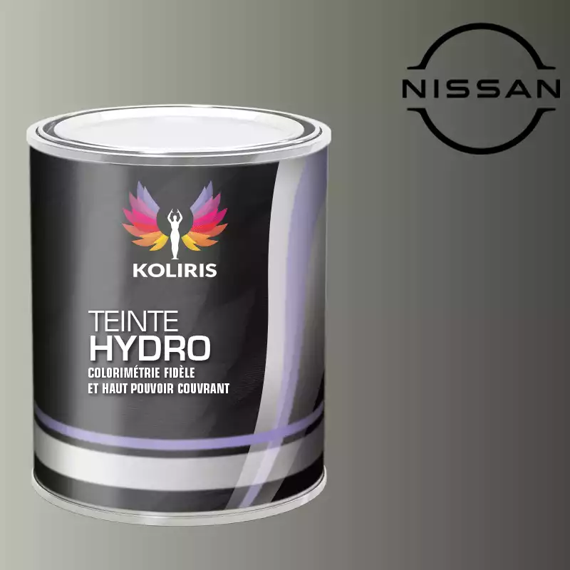 Peinture voiture hydro Nissan