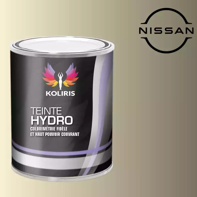 Peinture voiture hydro Nissan