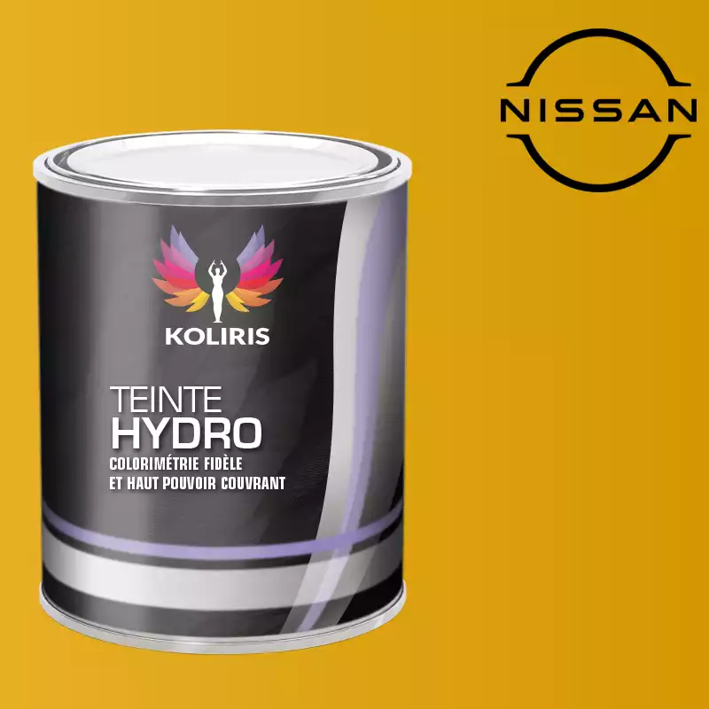 Peinture voiture hydro Nissan