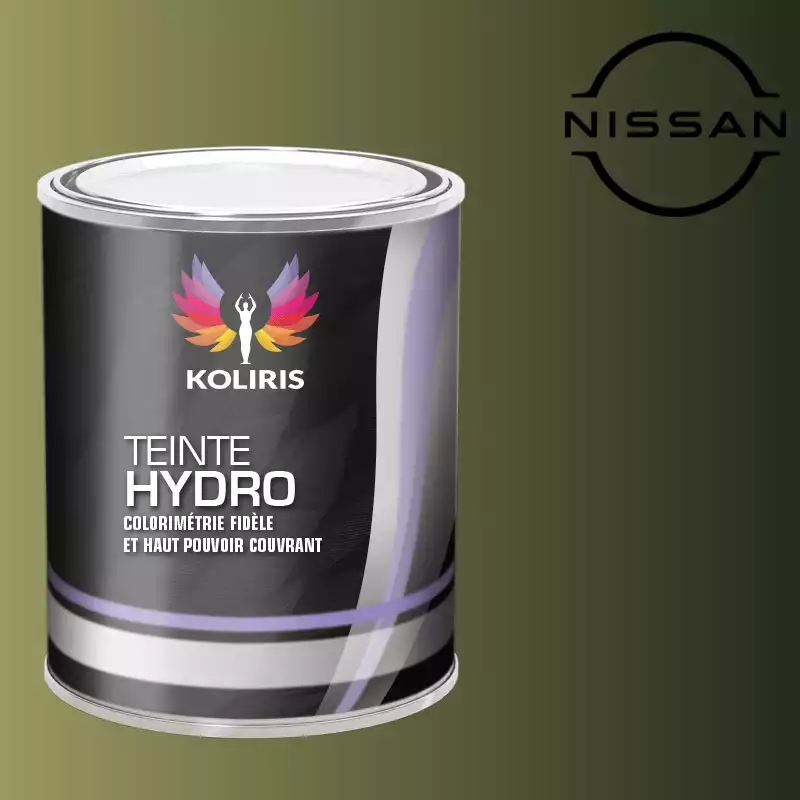 Peinture voiture hydro Nissan