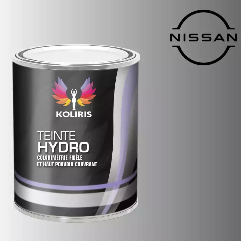 Peinture voiture hydro Nissan