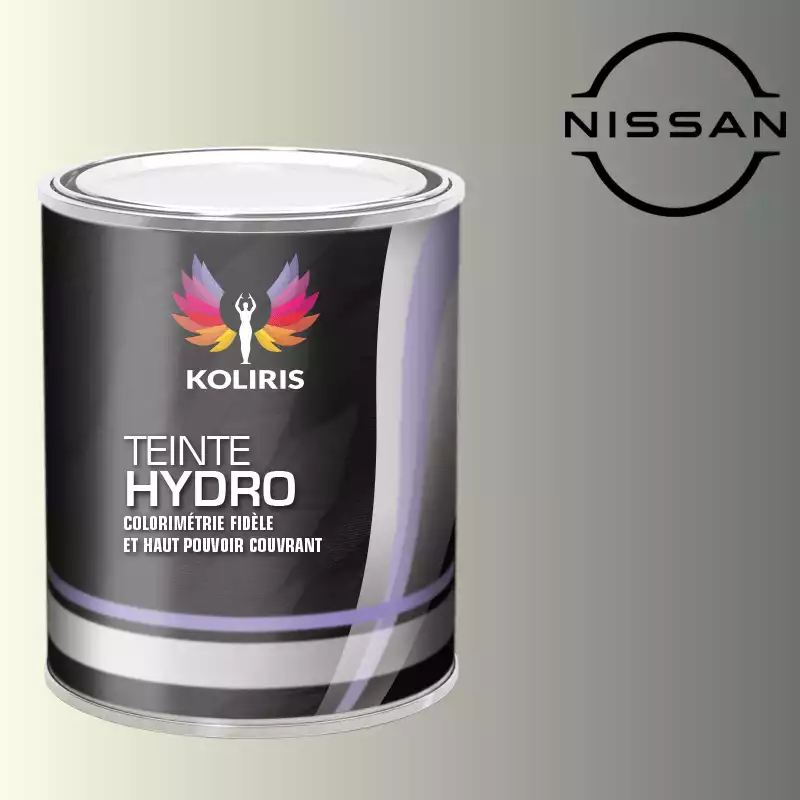 Peinture voiture hydro Nissan