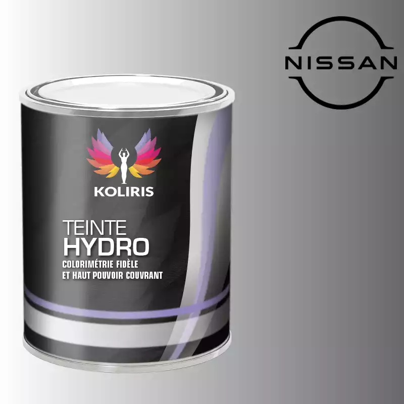 Peinture voiture hydro Nissan