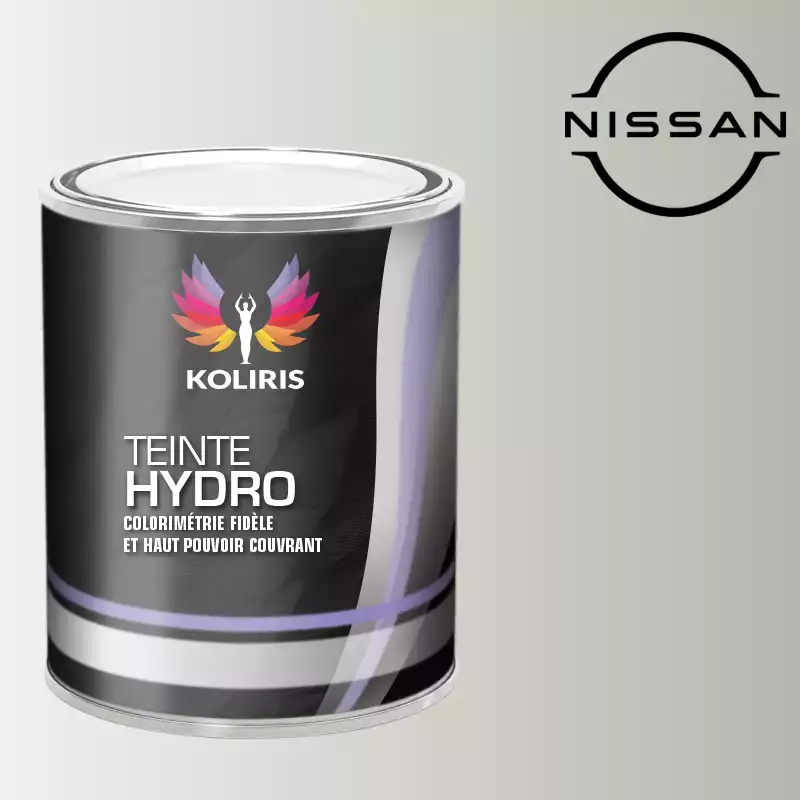 Peinture voiture hydro Nissan