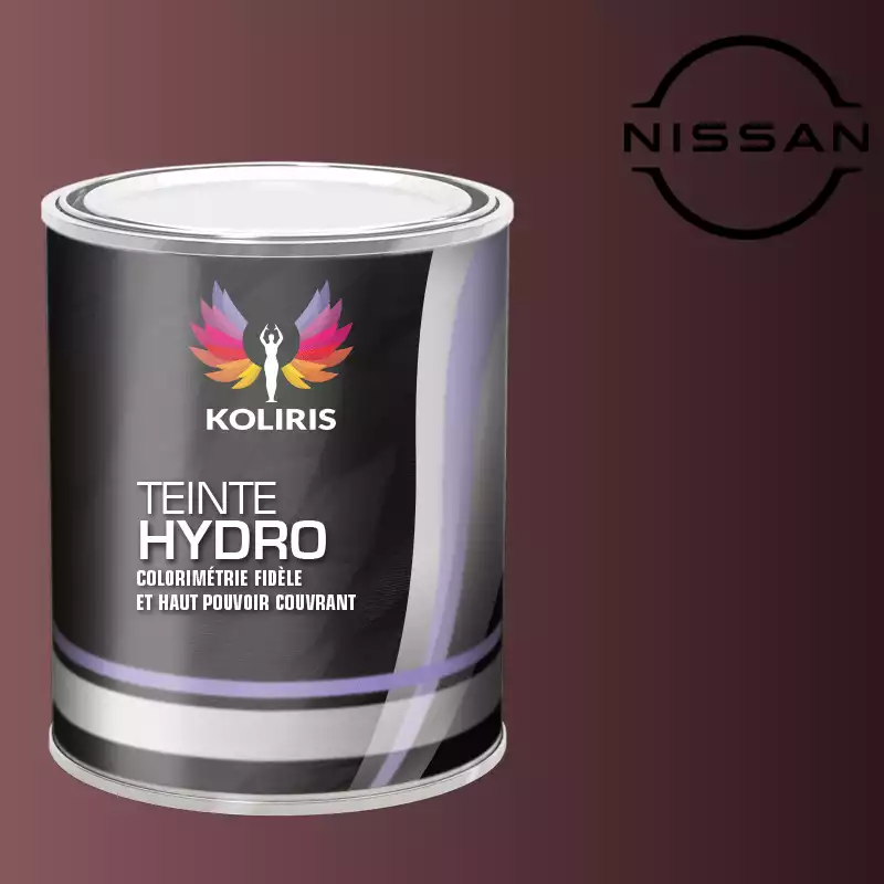 Peinture voiture hydro Nissan