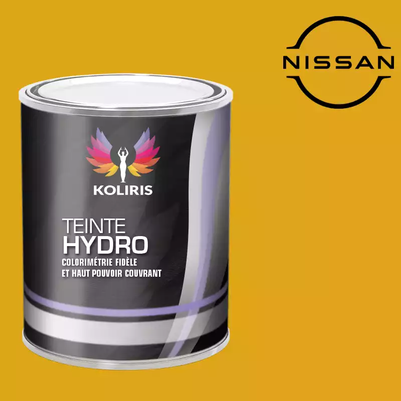 Peinture voiture hydro Nissan