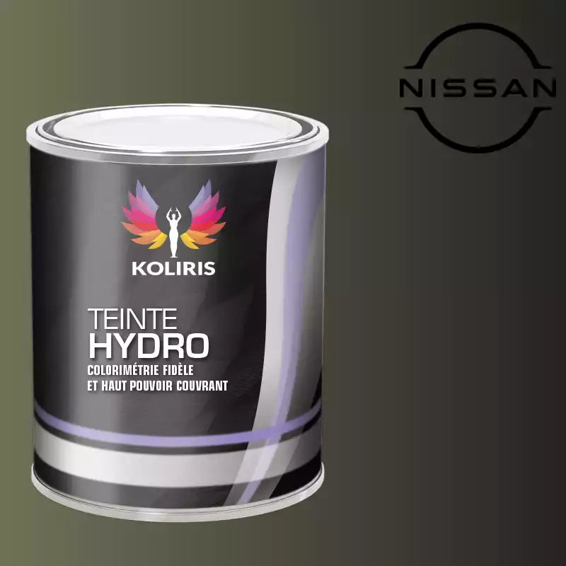 Peinture voiture hydro Nissan