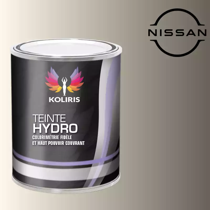 Peinture voiture hydro Nissan