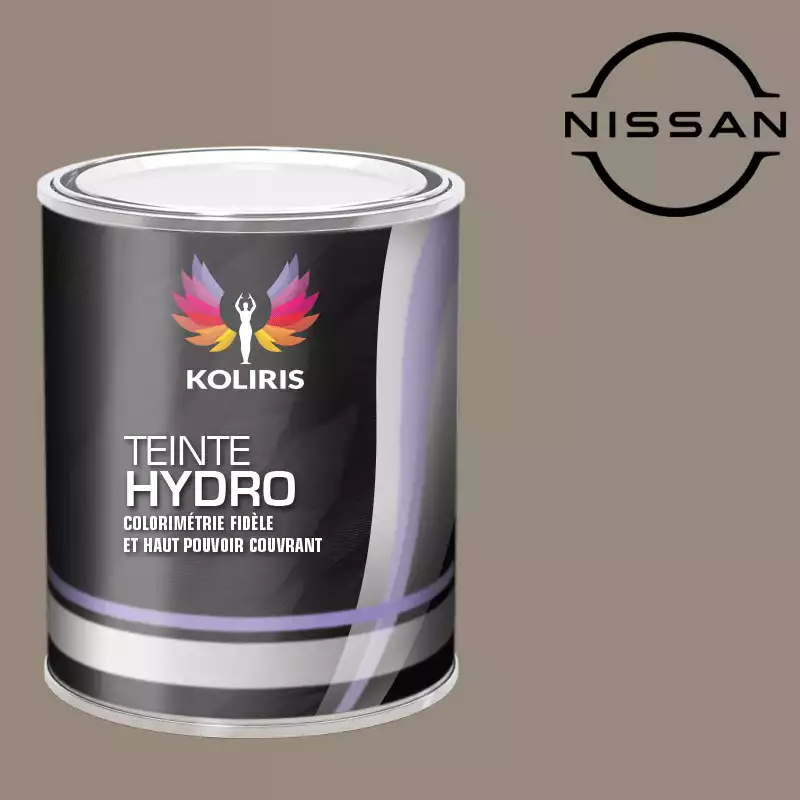 Peinture voiture hydro Nissan