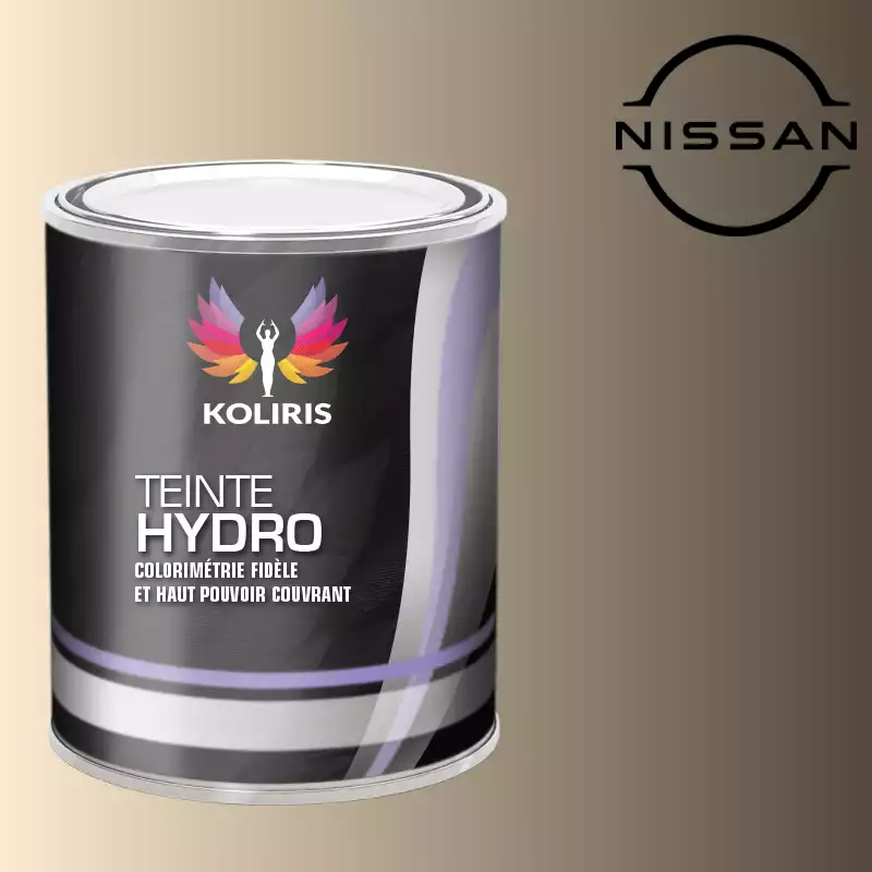 Peinture voiture hydro Nissan