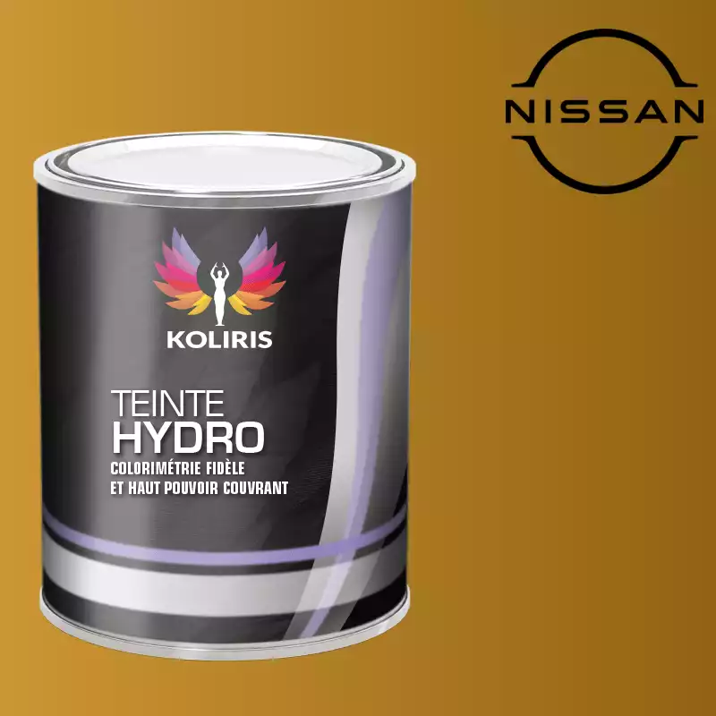 Peinture voiture hydro Nissan