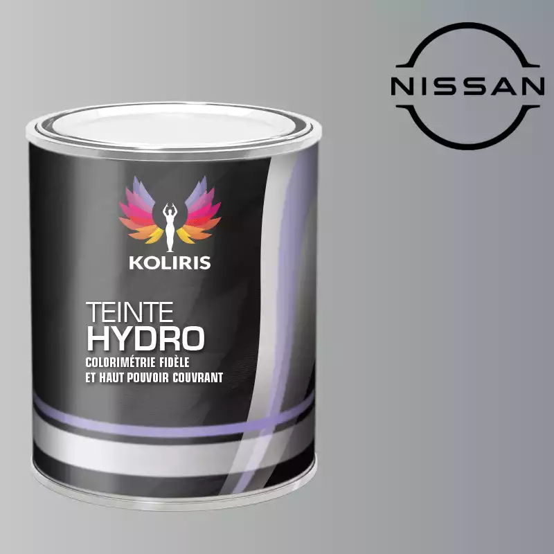 Peinture voiture hydro Nissan