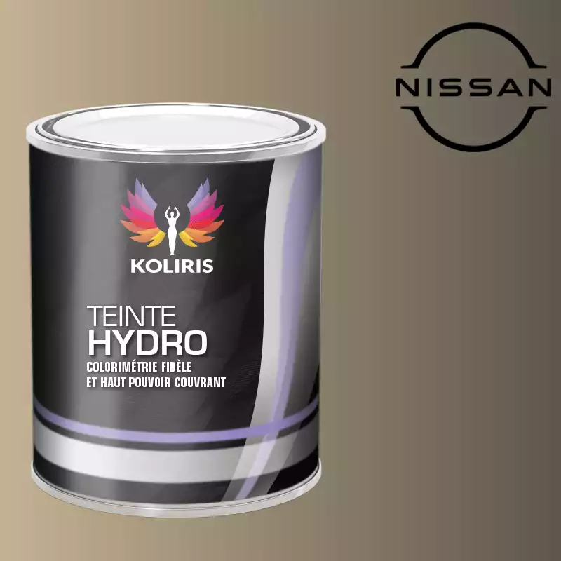 Peinture voiture hydro Nissan