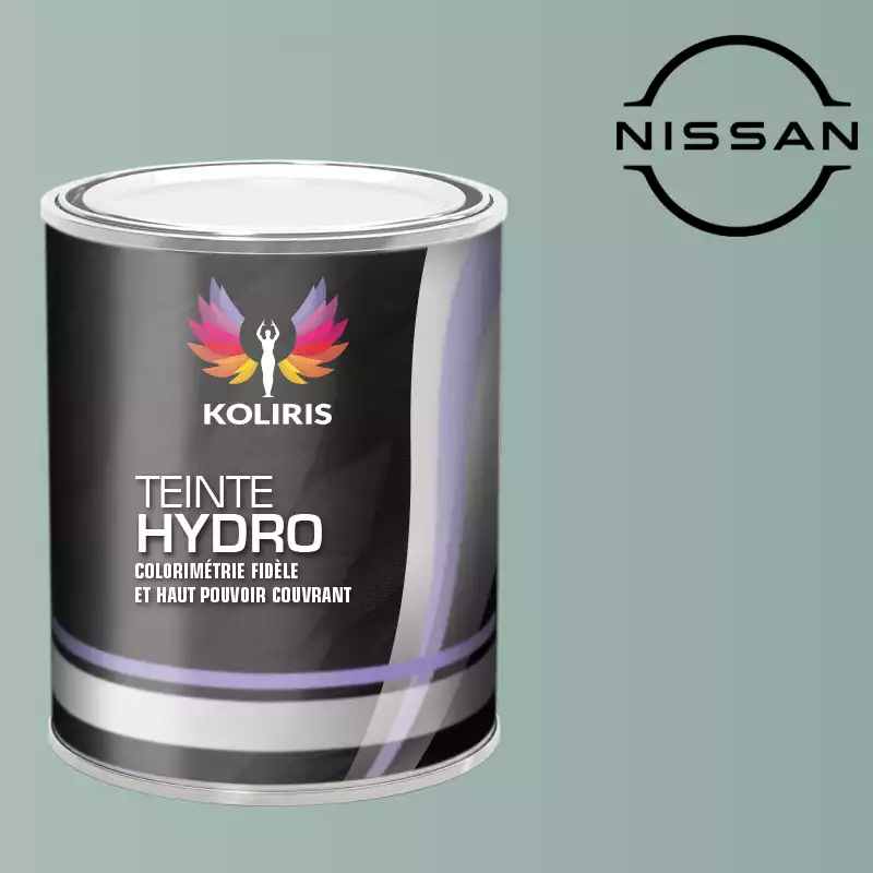 Peinture voiture hydro Nissan