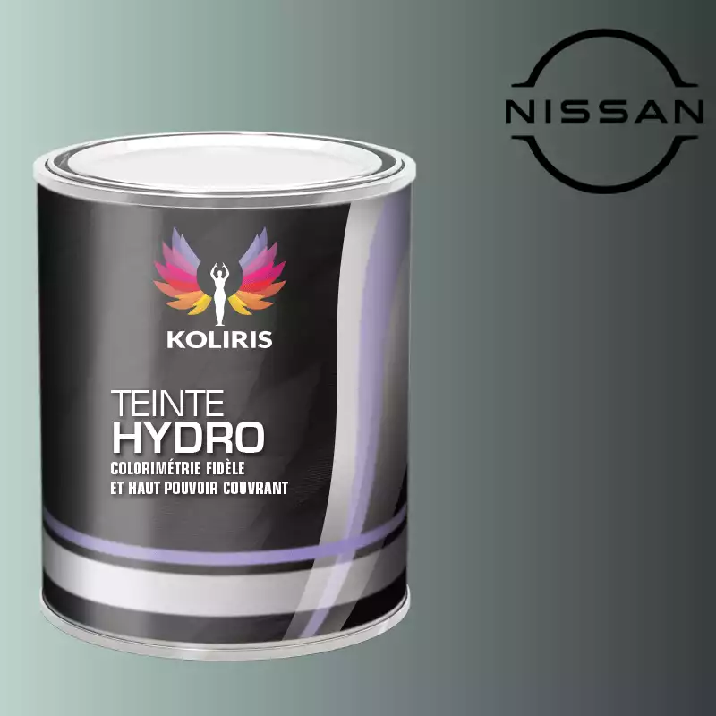 Peinture voiture hydro Nissan