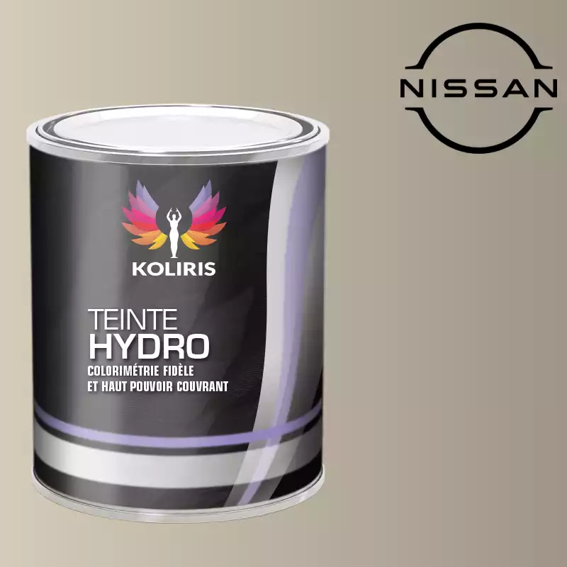 Peinture voiture hydro Nissan