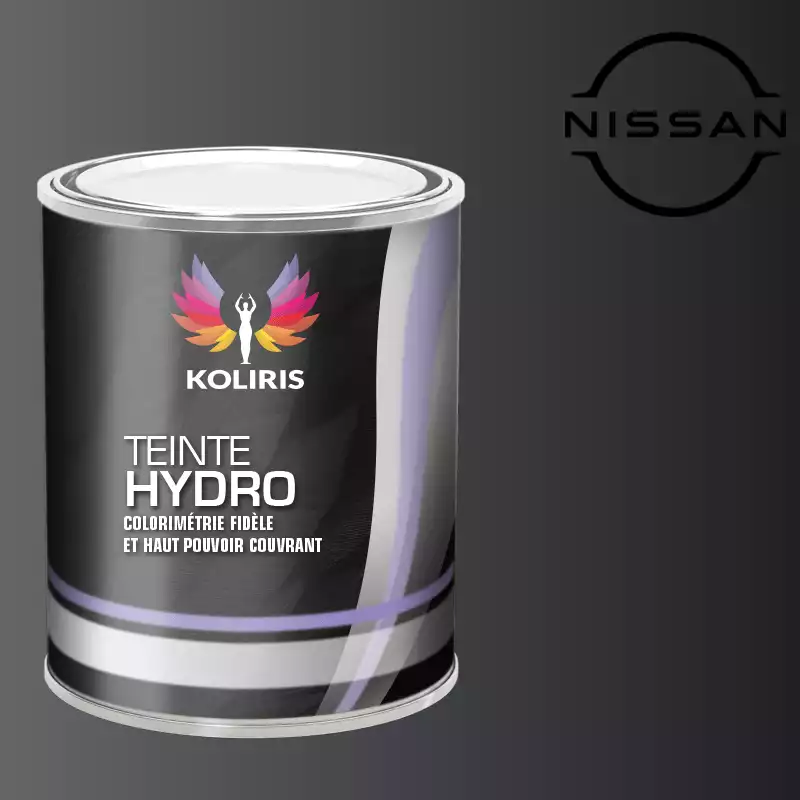 Peinture voiture hydro Nissan