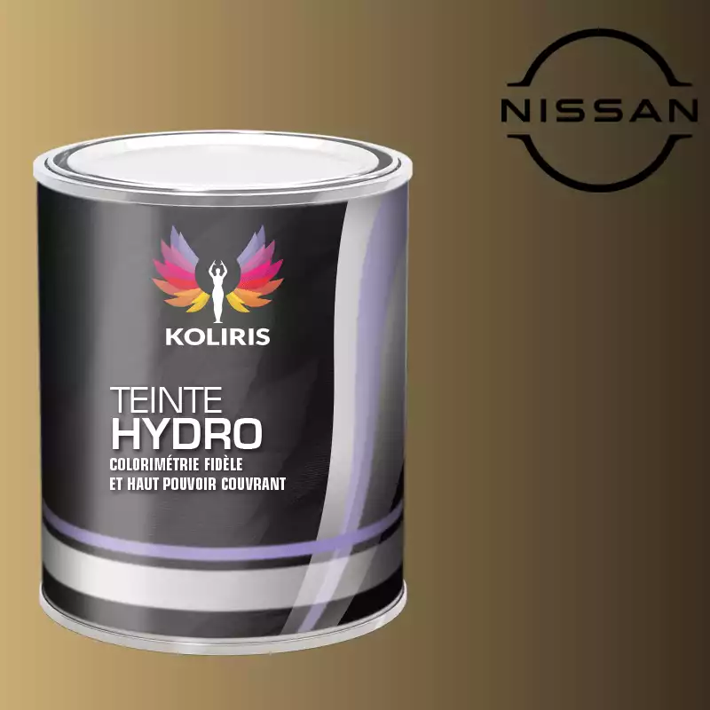 Peinture voiture hydro Nissan