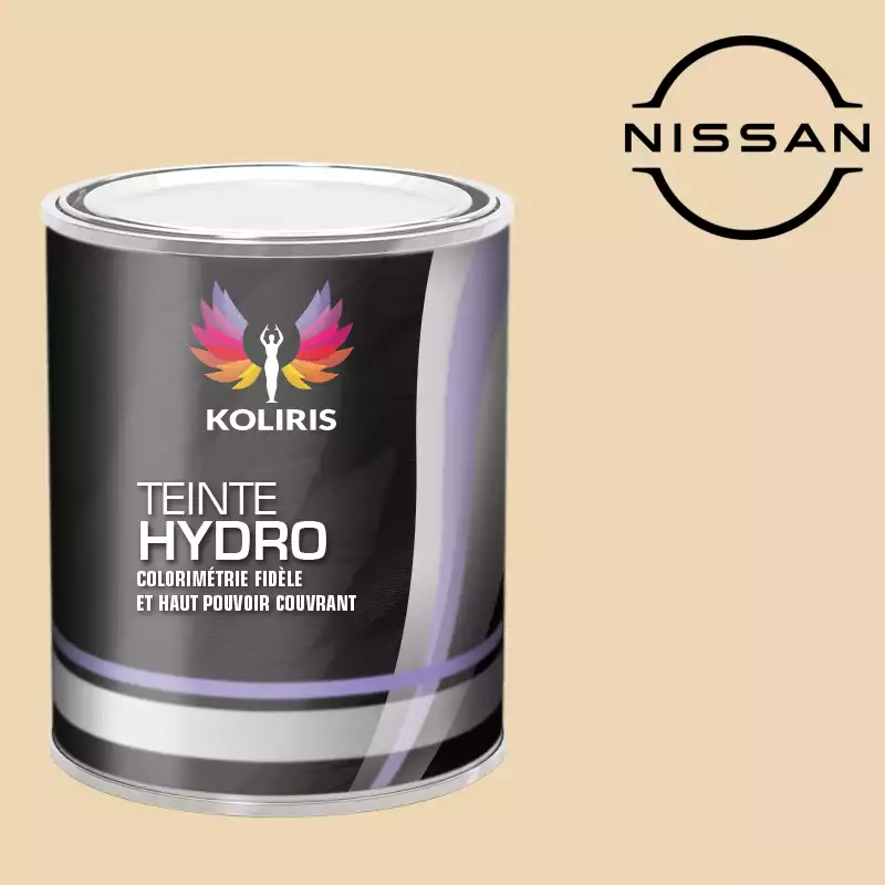 Peinture voiture hydro Nissan