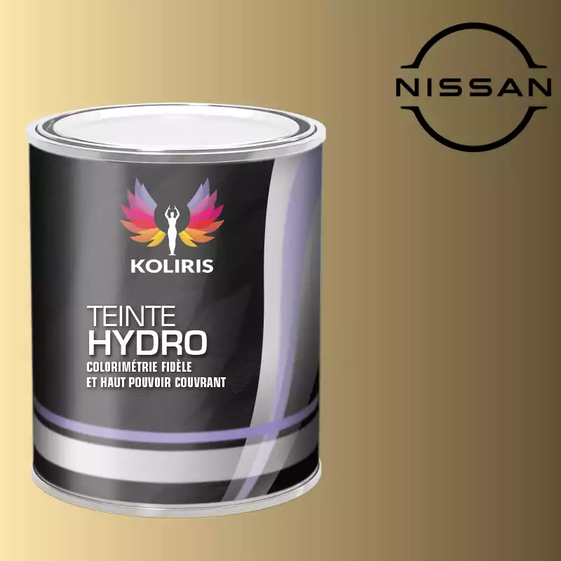 Peinture voiture hydro Nissan