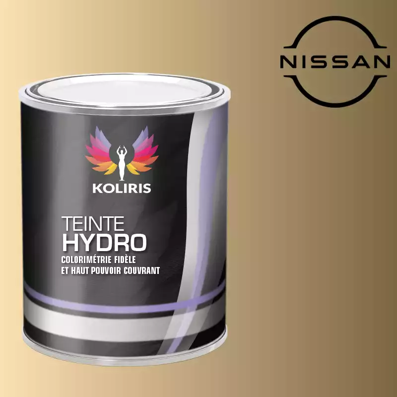 Peinture voiture hydro Nissan