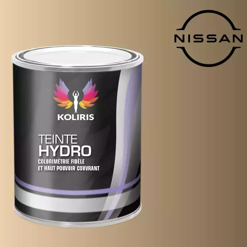 Peinture voiture hydro Nissan